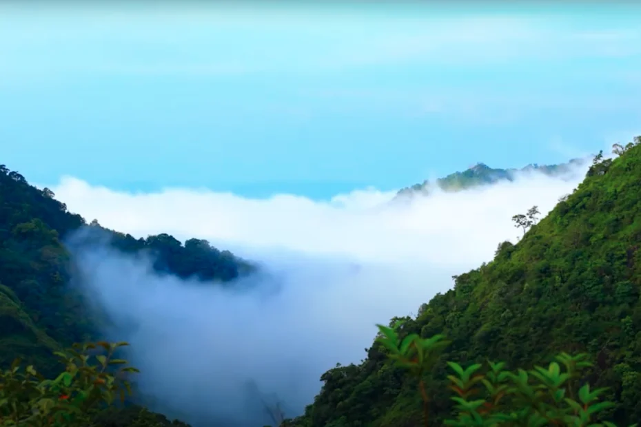 Silent Valley National Park