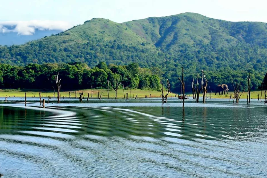 View of Periyar Wildlife Sanctuary Lake